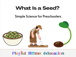 What Is a Seed? Simple Science for Preschoolers