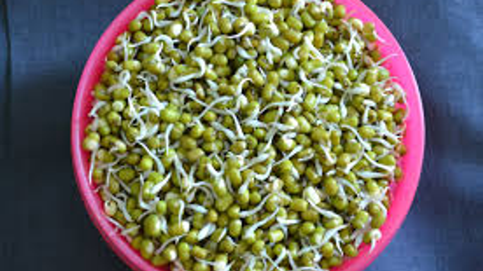Pink bowl filled with fresh mung bean sprouts on a dark tabletop, a simple food close-up