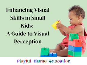 Enhancing Visual Skills in Small Kids: A Guide to Visual Perception