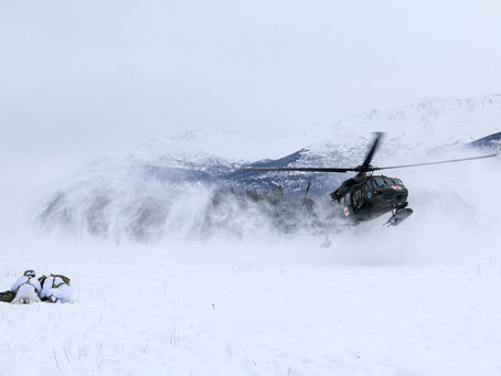 SF ALPINE RESCUE ARRAY V1