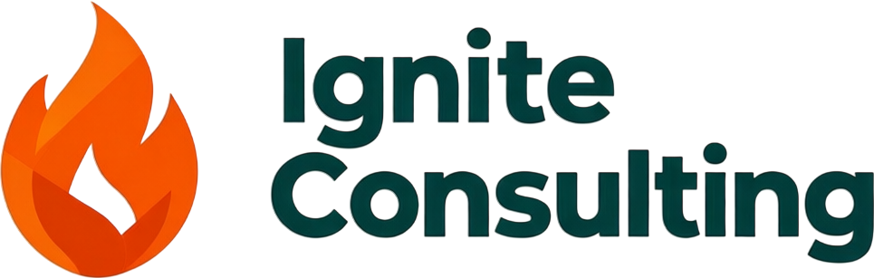 Performance Metrics Guide | Ignite Consulting