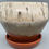 Thumbnail: Small Sienna Birch Oval Planter