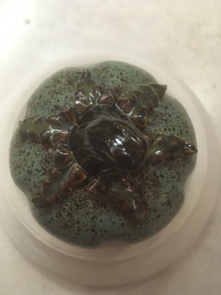 Thumbnail: Speckled Seafoam Mini Pumpkin