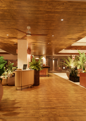 RAIZ_Entrada Noche.png