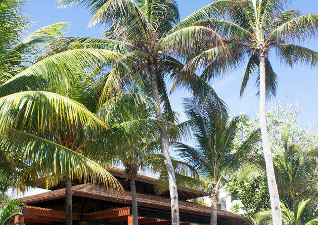 19017 Montego Bay E03.jpg