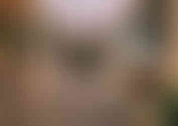 ihBCN25 x Brava Studio_AR15968.JPG