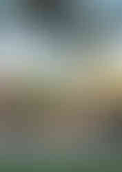 20011 National Park FEATURED IMAGE.jpg