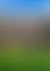 19007 Haddonfield Residence E02.jpg