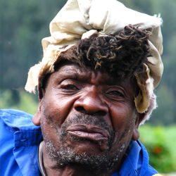 Volcanoes Forest National Park