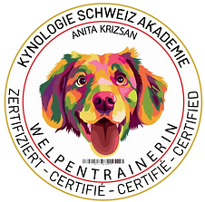 Screenshot 2024-12-15 222836.png