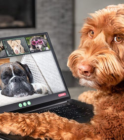 Screenshot 2025-01-09 214434_edited.jpg