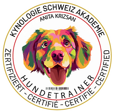 Screenshot 2024-12-15 222735.png