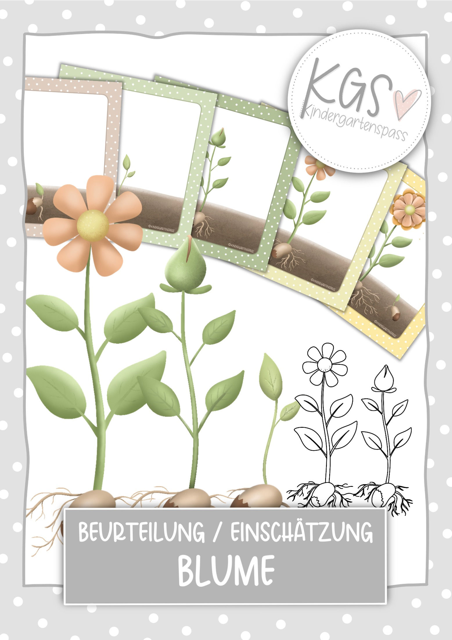 Beurteilungs-/ Einschätzungsbilder "Blume"