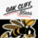 Oak Cliff 86ers vs River City Honey Busters