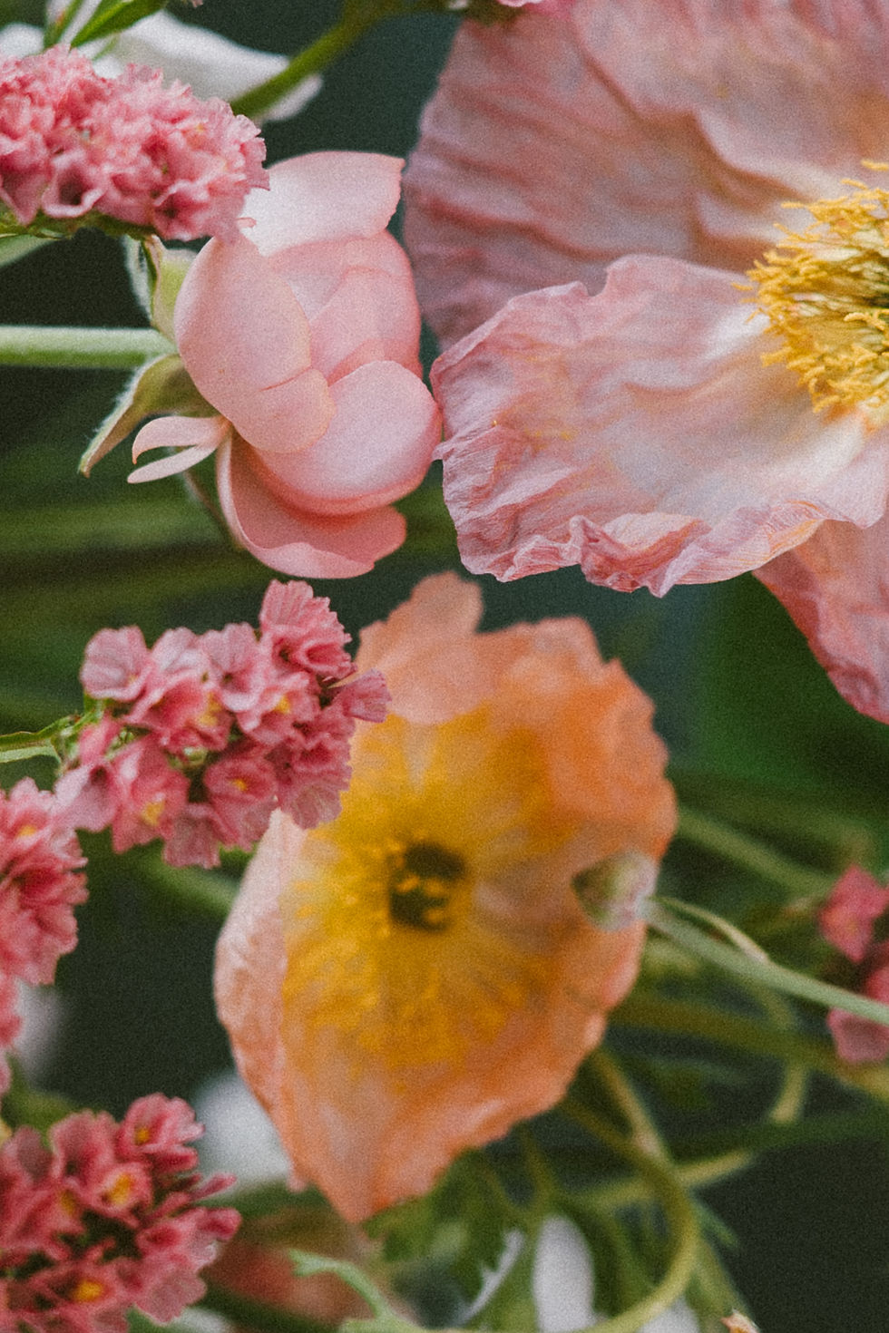 Thumbnail: bloom