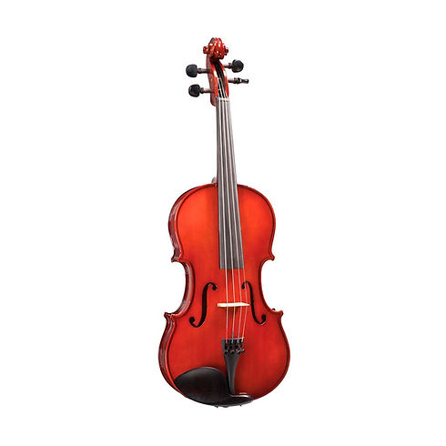 viola.jpg