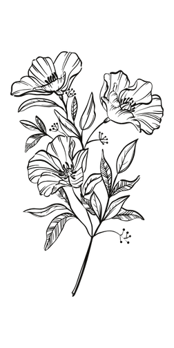 Copy of Insta Insider - LOGO (4).png