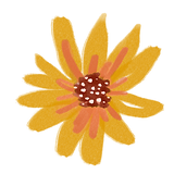 meg-04-.png