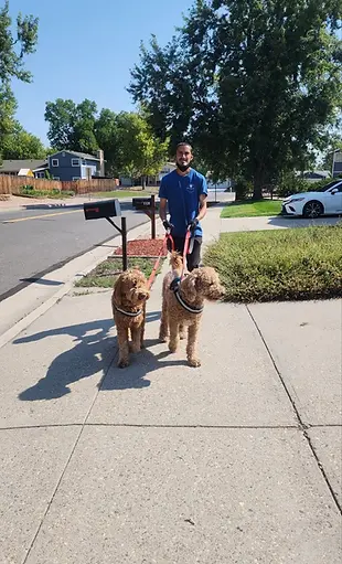matt walk 2.webp