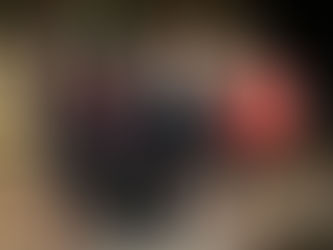 Judicial Reception 2014