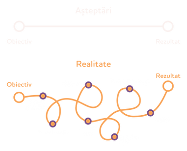 Scheme_RO asteptari vs realitate copy.png