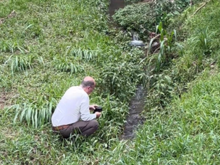Gaspar avança no combate aos borrachudos: ações municipais, desafios e articulação para apoio estadual