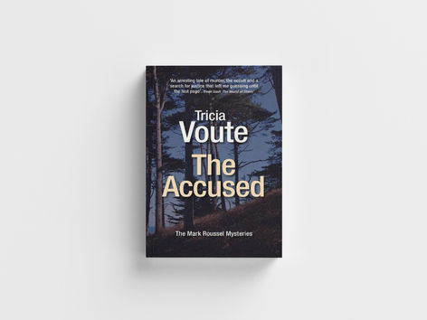 Book Review: The Accused