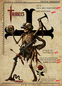 Cover.jpg