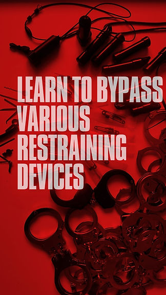 Dragon Rouge (1).jpg