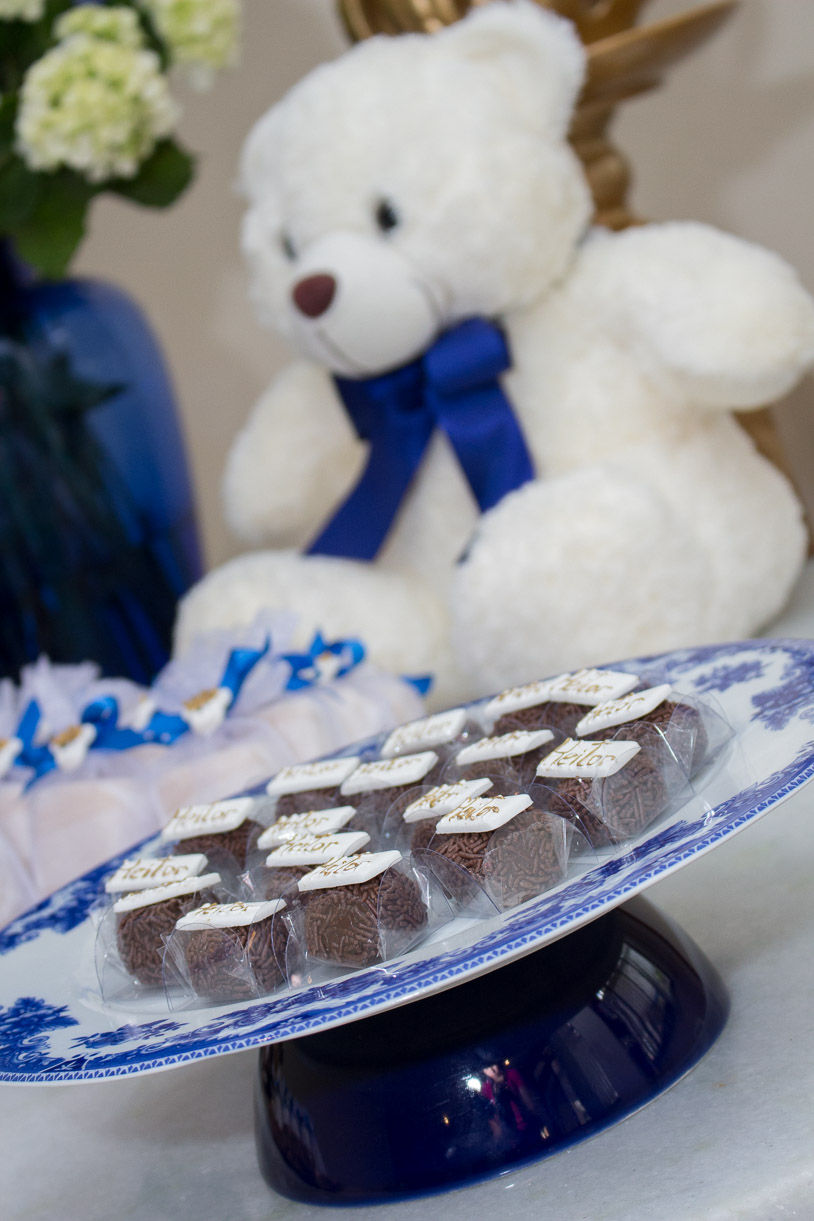 URSO DESFOCADO