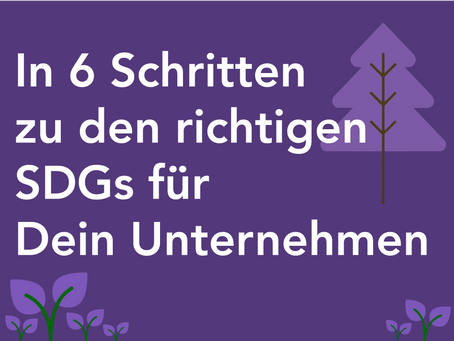 In 6 Schritten zu den richtigen SDGs für Dein Unternehmen