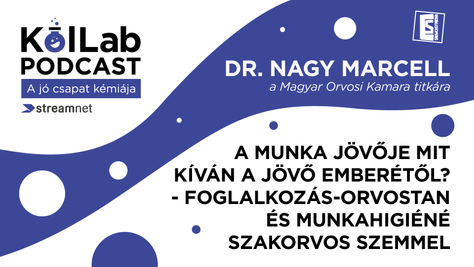 A munka jövője mit kíván a jövő emberétől?- foglalkozás-orvostan és munkahigiéné szakorvos szemmel