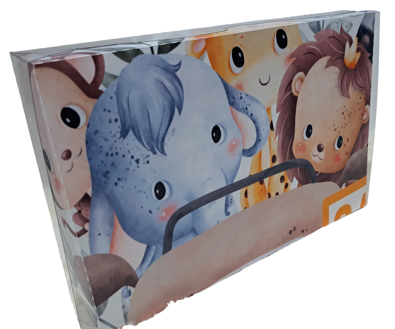 Caixa Safari - B&B Store