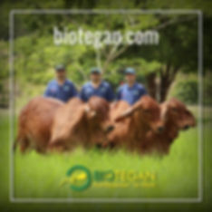 banner web 1.jpeg
