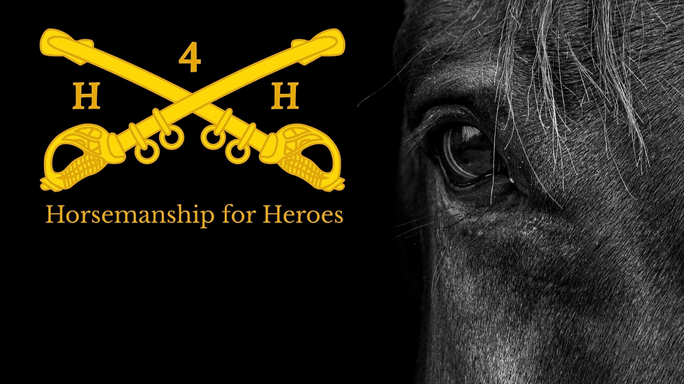 Home Page Background.png