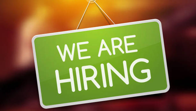 We are hiring - seeking candidates for a Technical Director position