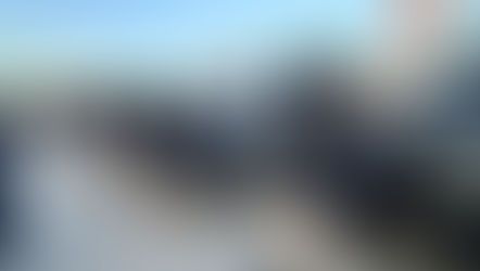 Coahuila activa blindaje total