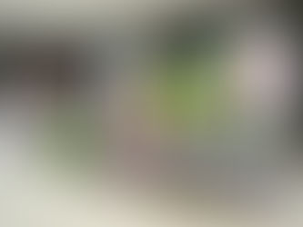 PRESENTAN LA CARRERA ‘COAHUILA 1000 DESERT RALLY’