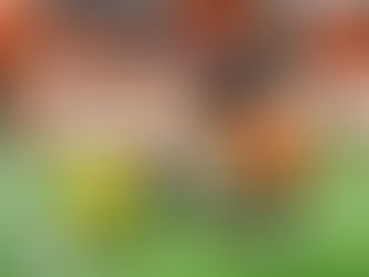 NFL: CLEVELAND DESTROZÓ POR LA VÍA TERRESTRE A PITTSBURGH Y SE LLEVAN EL THURSDAY NIGHT FOOTBALL