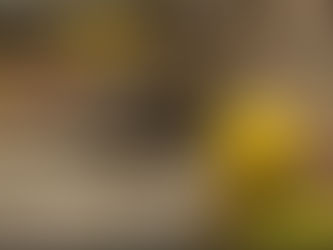 MUERE MENOR DE EDAD AL SER ARRASTRADA POR CORRIENTE DE AGUA EN COAHUILA