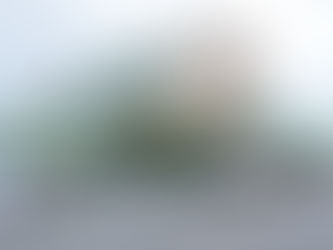 Detallan métodos de saqueo al IMSS