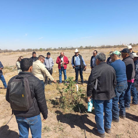 LA SECRETARÍA DE DESARROLLO RURAL IMPULSA LA CAPACITACIÓN Y ASISTENCIA TÉCNICA PARA EL CULTIVO DEL HIGO 