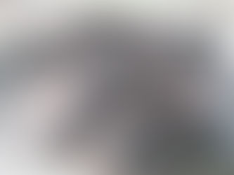 Ahora capturan oso en Cuatrociénegas