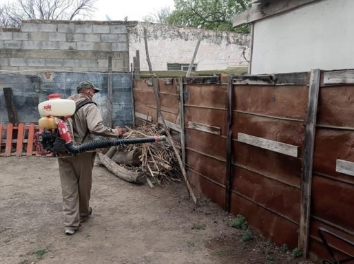 Continúa Coahuila en vacaciones acciones contra el dengue, zika y chikungunya