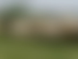 RENDIRAN PROTESTA INTEGRANTES DE CONSEJO DE DESARROLLO RURAL