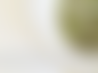 '페루'산 수입'녹두'의 원산지 검증 등에 대한 과세전적부심사