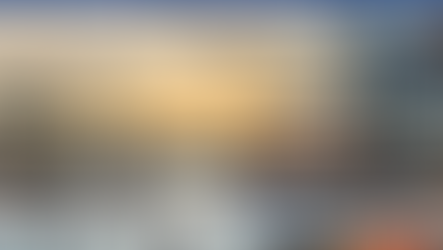 메주의 정의와 관세품목분류 - 관세율 8%가 적용되는 '메주의 범위를 넓게 해석'한 판결의 승소전략입니다. (수원지방법원 2023구합70610)