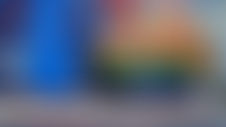 북한산 조미오징어의 원산지 입증책임과 가산세 면제 여부 - 대응전략과 시사점 (대법원 2013. 10. 31. 선고 2012두18080 판결)