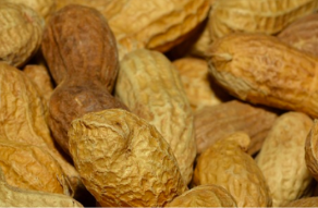 추천기관의 ‘추천’은 처분이 아니며, 수입 이후에 수입한 조제땅콩을 원료로 사용하는 경우에 한하여 할당관세가 적용될 수 있으므로, 가공없이 그대로 판매하는 경우 관세경정부과처분사유