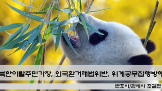 중국 국적 재북 화교가 북한이탈주민으로 가장하여 외국환거래법 위반 및 위계공무집행방해 혐의로 기소된 사건 - 대법원 2021. 10. 14. 선고 2016도14772 판결